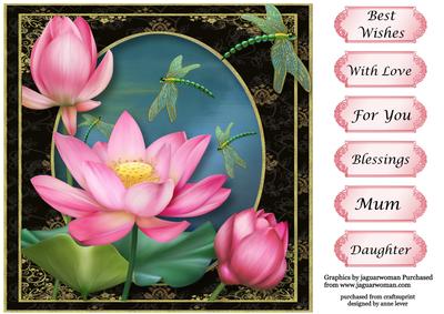 Beautiful Lotus Water Garden