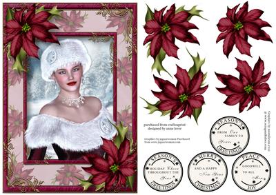 Winter Portrait with Plum Poinsettias