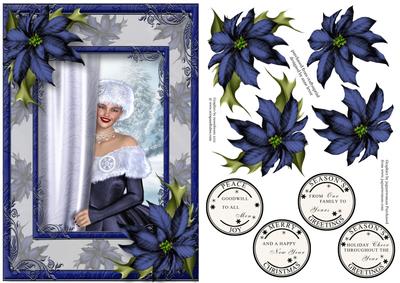 Christmas Beauty with Midnight Blue Poinsettias
