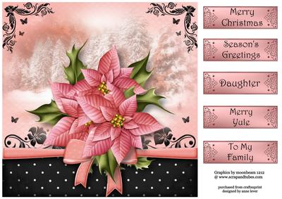 The Christmas Gift of Pink Poinsettias