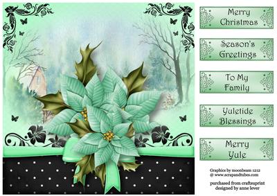 The Christmas Gift of Mint Poinsettias