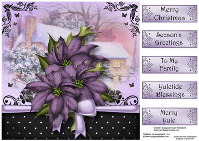 The Christmas Gift of Purple Poinsettias