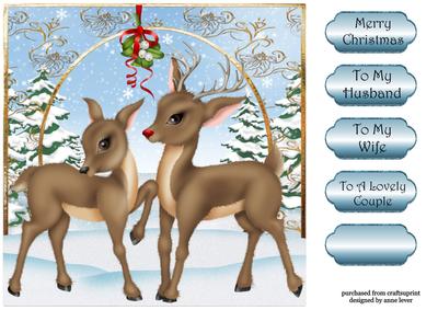 The Christmas Reindeer Couple