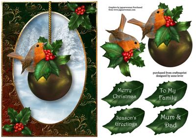 Robin & Holly Christmas