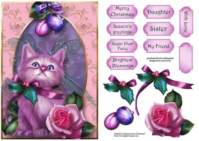 The Sugar Plum Fairy Kitten
