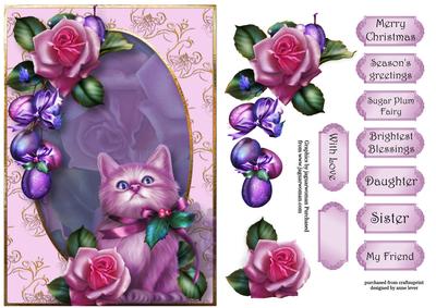 Christmas Rose Kitten