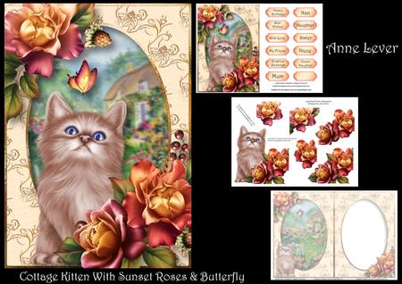 Cottage Kitten with Sunset Roses & Butterfly