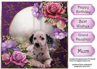 Dalmation Puppy & Beautiful Roses 8x8