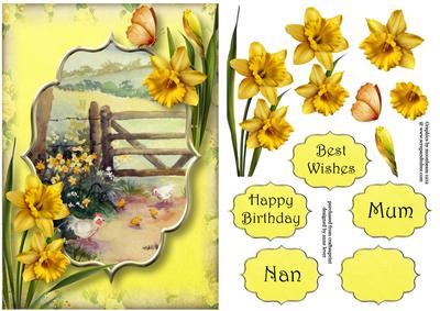 Fabulous Spring Daffodils & Chickens