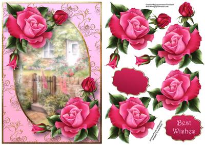 Deep Pink Roses at the Rose Cottage