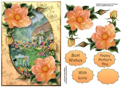 Pretty Peach Roses at the Flower Cottage