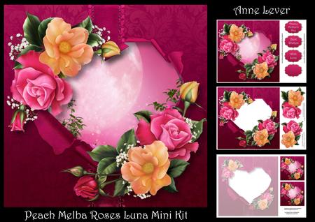 Peach Melba Roses Luna Mini Kit