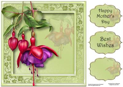 Fabulous Fuschia 8x8 Quick Topper