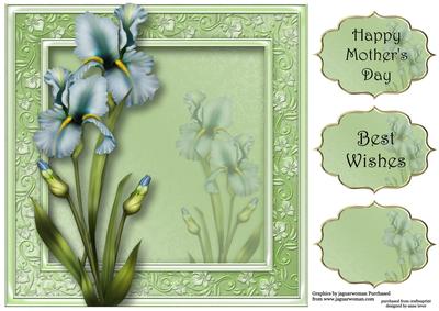 Pretty Pale Blue Iris 8x8 Quick Topper