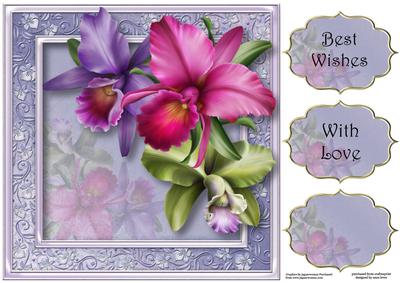 Gorgeous Tropical Orchids 8x8 Quick Topper