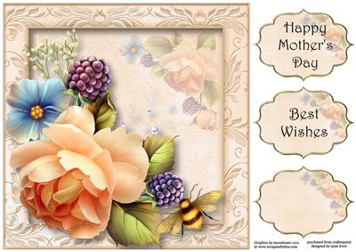 Beautiful Peach English Rose 8x8 Quick Topper