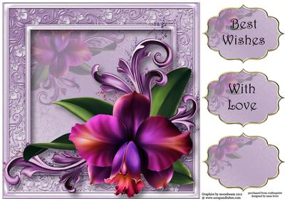 Gorgeous Romantic Orchid 8x8 Quick Topper