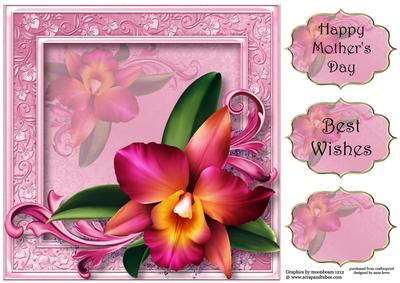 Beautiful Pink Romantic Orchid 8x8 Quick Topper