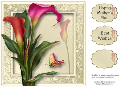 Gorgeous Hot Calla Lilies 8x8 Quick Topper