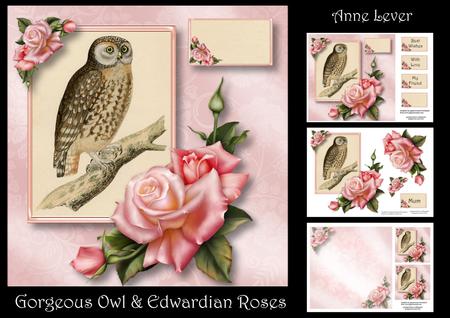 Gorgeous Owl & Edwardian Roses Mini Kit