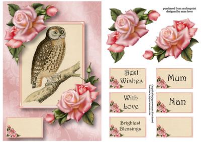Gorgeous Owl & Edwardian Roses A5