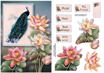 Peacock & Lotus Blooms A5
