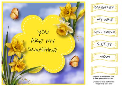 You Are My Sunshine 8x8 Quick Topper