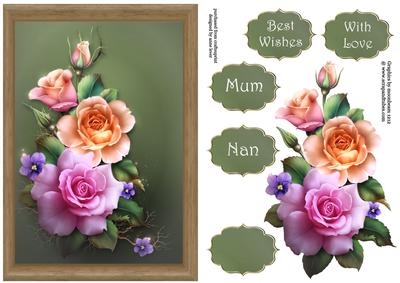 Beautiful Framed Spring Roses