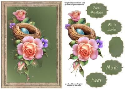 Beautiful Framed Spring Roses & Birds Nest