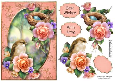 Bird, Nest & Spring Roses
