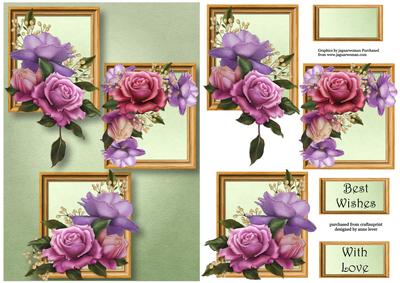 Beautiful Belle Roses Frame Trio