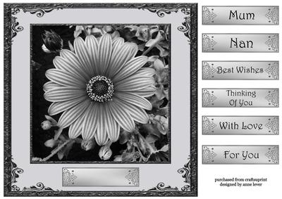 Floral Monochrome 1 8x8 Quick Topper