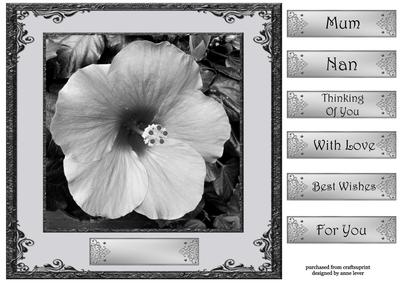 Floral Monochrome 2 8x8 Quick Topper