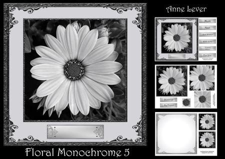 Floral Monochrome 5