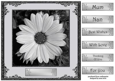 Floral Monochrome 5 8x8 Quick Topper