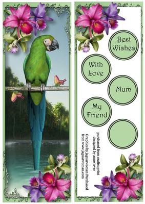 Tropical Green Parrot Large Dl