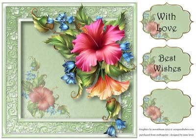 Beautiful Hibiscus in Pink 8x8 Quick Topper