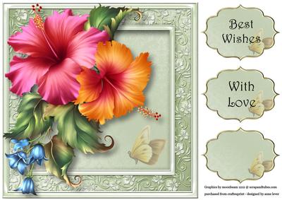 Beautiful Hibiscus in Pink & Peach 8x8 Quick Topper