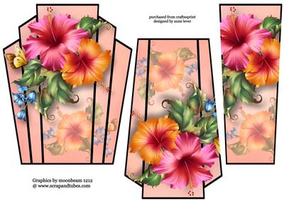 Hibiscus in Pink & Peach Art Deco Stacker Topper