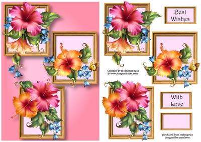 Pink & Peach Hibiscus Frame Trio