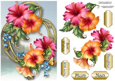 Beautiful Hibiscus Blooms on Golden Frame