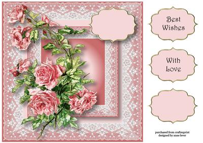 Pretty Lace & Pink Roses 8x8