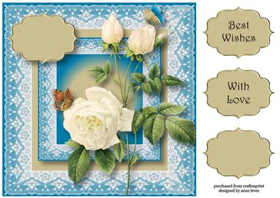 Pretty Lace & White Roses 8x8