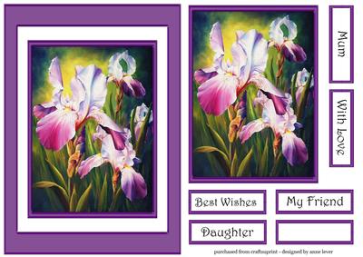 Gorgeous Watercolour Iris