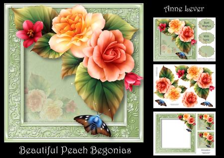 Beautiful Peach Begonias