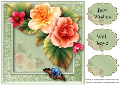 Beautiful Peach Begonias 8x8 Quick Topper