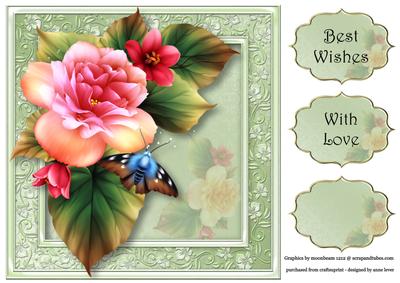 Beautiful Pink Begonia 8x8 Quick Topper