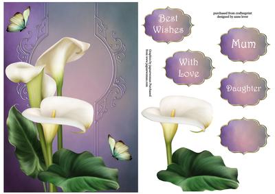 Pure White Calla Lilies A5