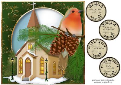 The Snowy Church & Robin