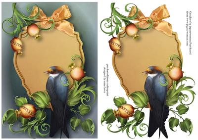 Beautiful Bird & Botanicals